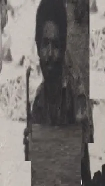 Zena Woldehawariat