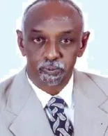 Mohamed Idris Banay